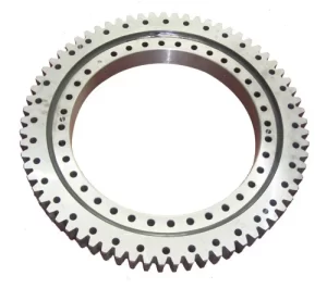 Slewing Ring Bearing